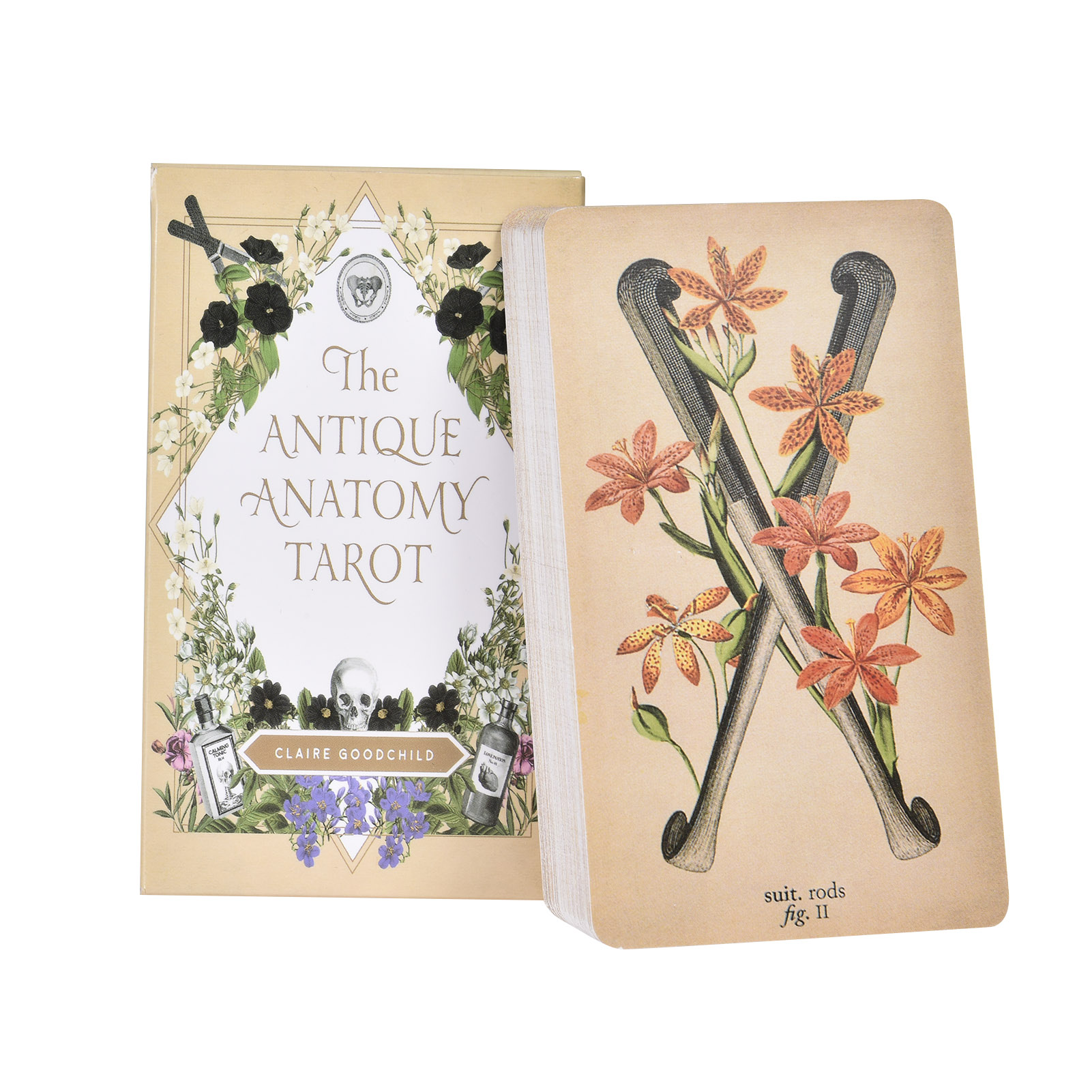 The Antique Anatomy Tarot Card - Board Game Pdf 评论和价格