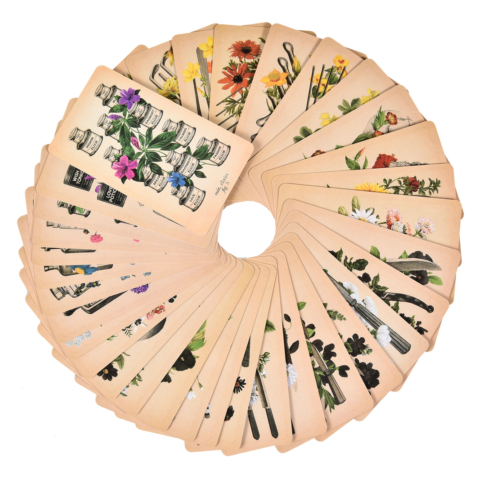The Antique Anatomy Tarot Card - Board Game Pdf 评论和价格